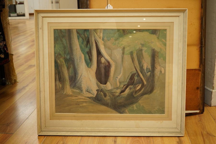 Ernest Alfred Sallis Benney (1894-1966), Study of tree roots, signed, watercolour, 38 x 48cm